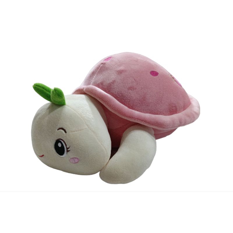 Boneka kura-kura / mainan boneka kura-kura