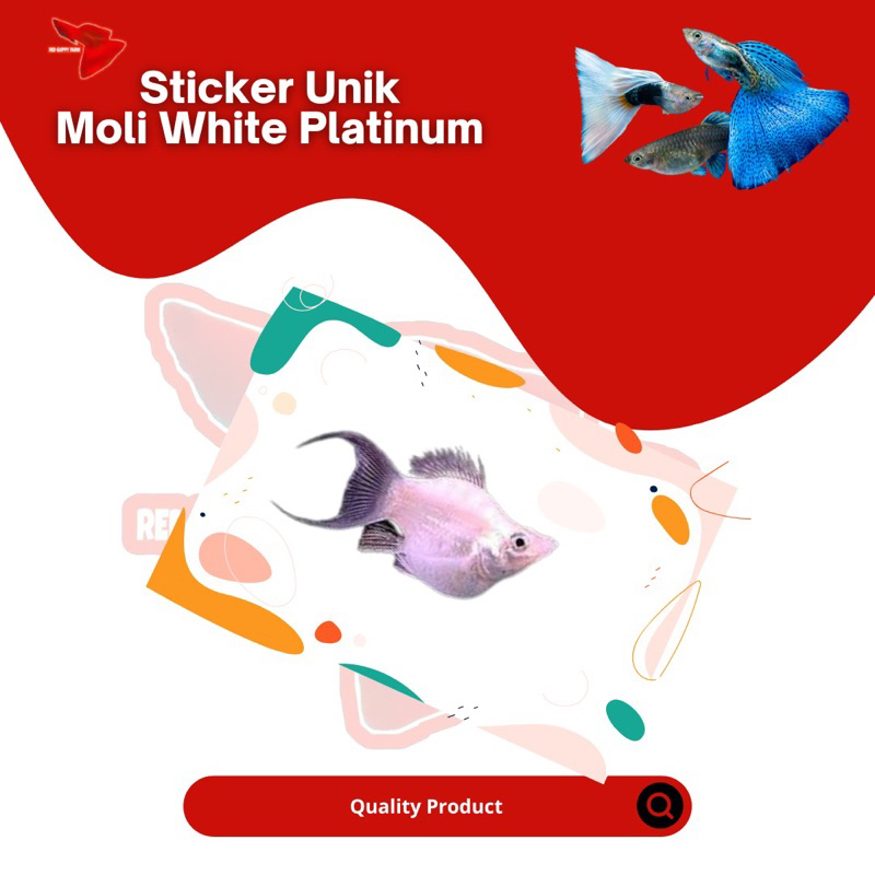 

STICKER UNIK MOLLY WP
