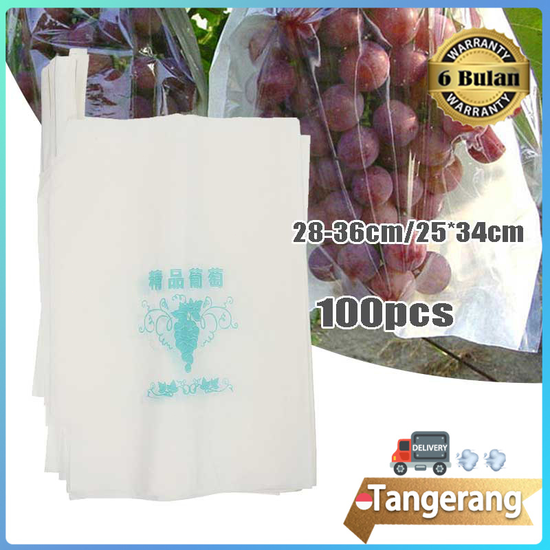 100pcs Pembungkus Buah Fruit Bag Fruit Cover Bungkus Buah Tembus Pandang Anggur Transparan