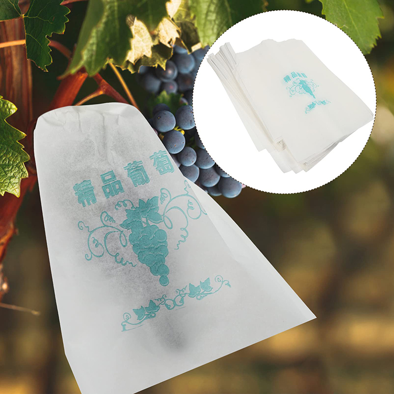 100Pcs Pembungkus Buah Fruit Bag Fruit Cover Bungkus Buah Tembus Pandang Anggur Transparan