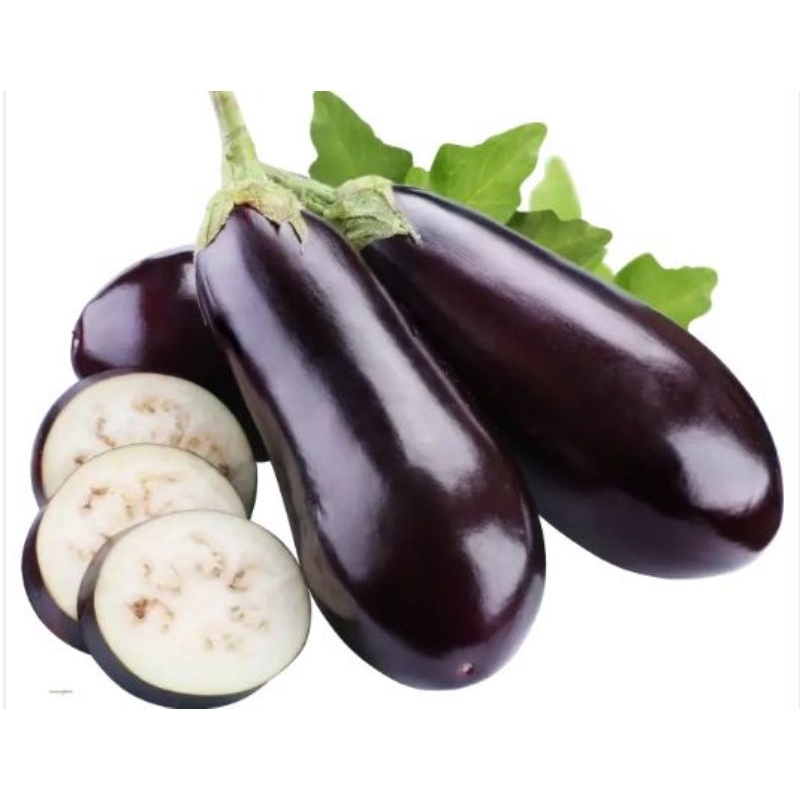

terong ungu