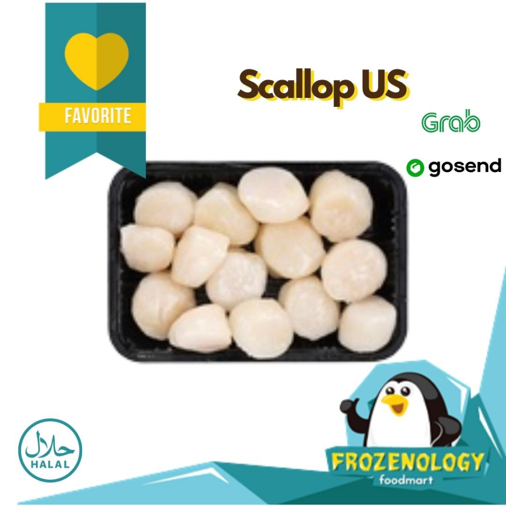 

Scallop US | Kerang Kampak/ Simping | Scallop US Frozen Import 250gr