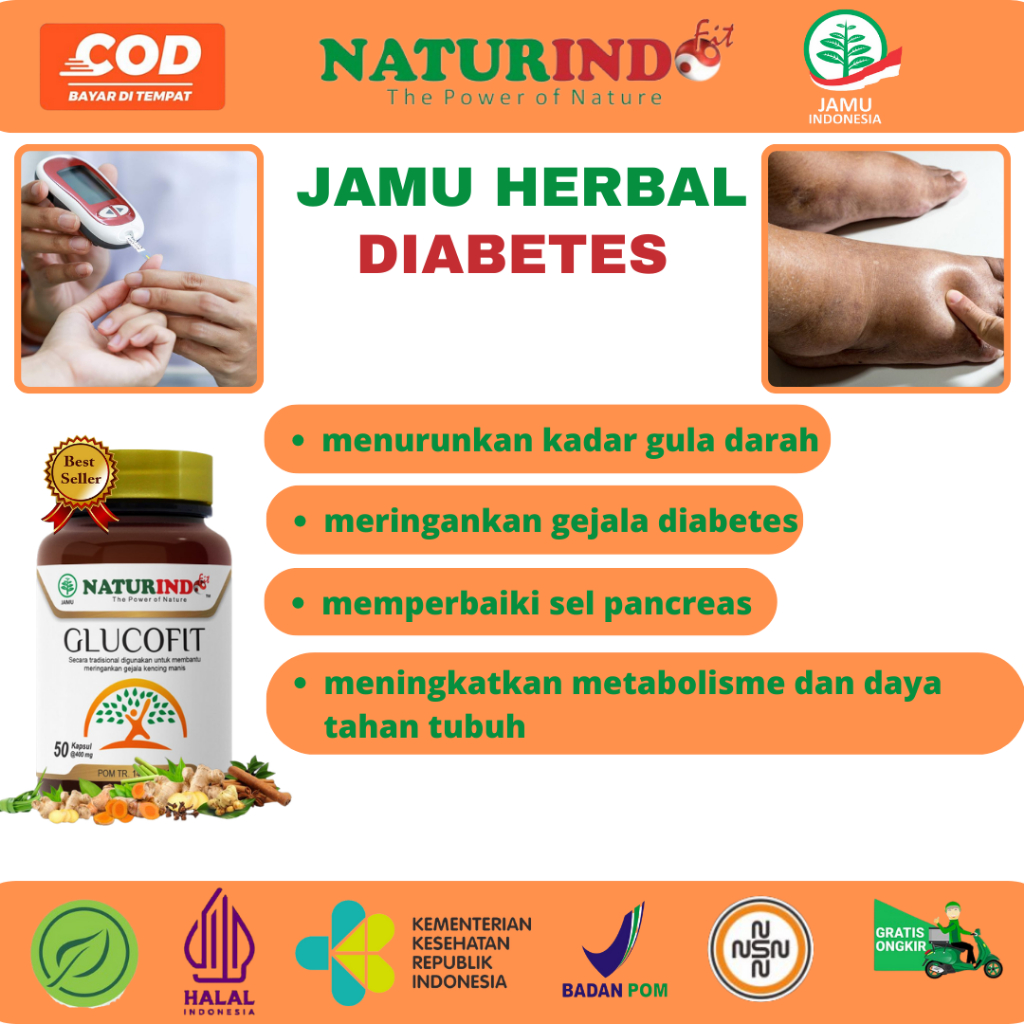 Obat Herbal Diabetes Gula Darah Penurun Gula Darah Tinggi Paling Ampuh