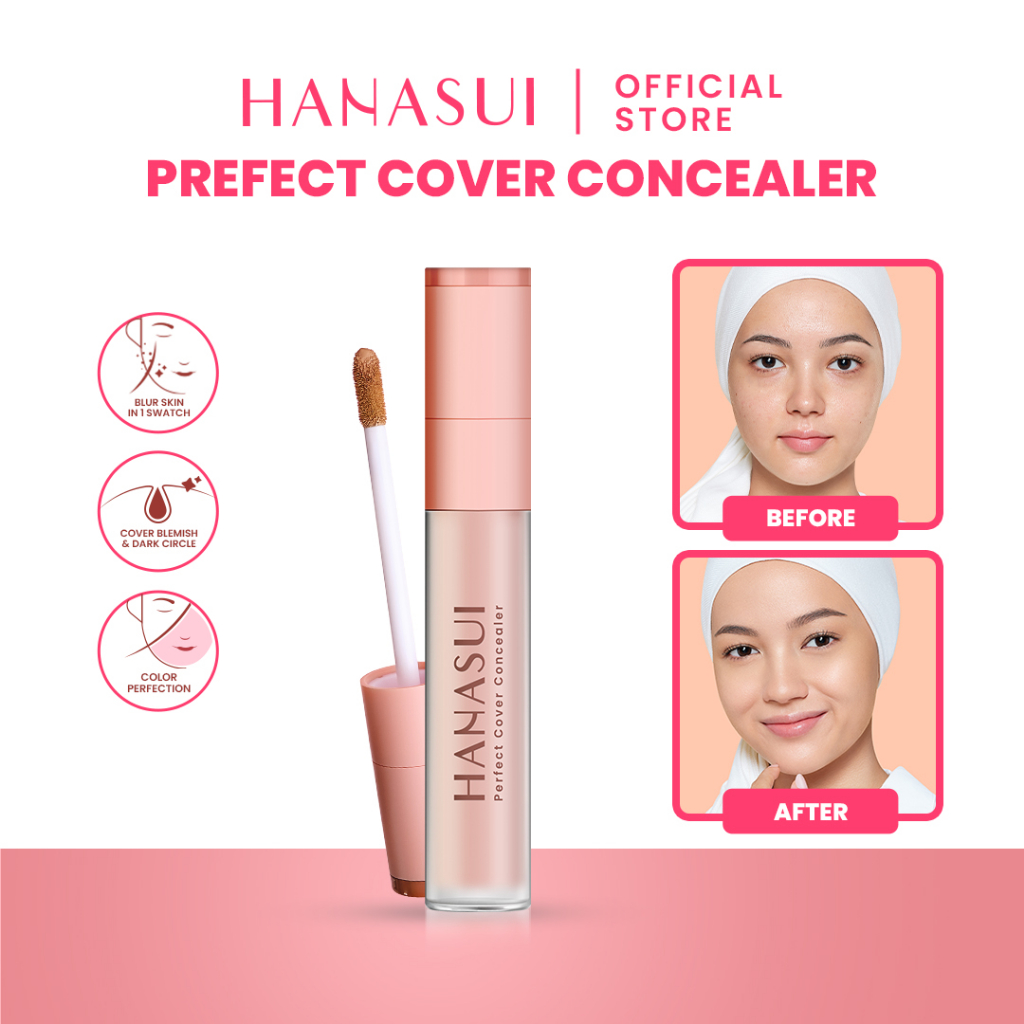 Hanasui Perfect Cover Concealer