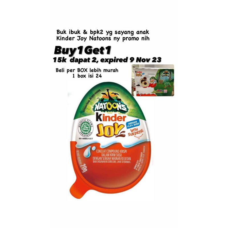 

Kinder Joy B1G1