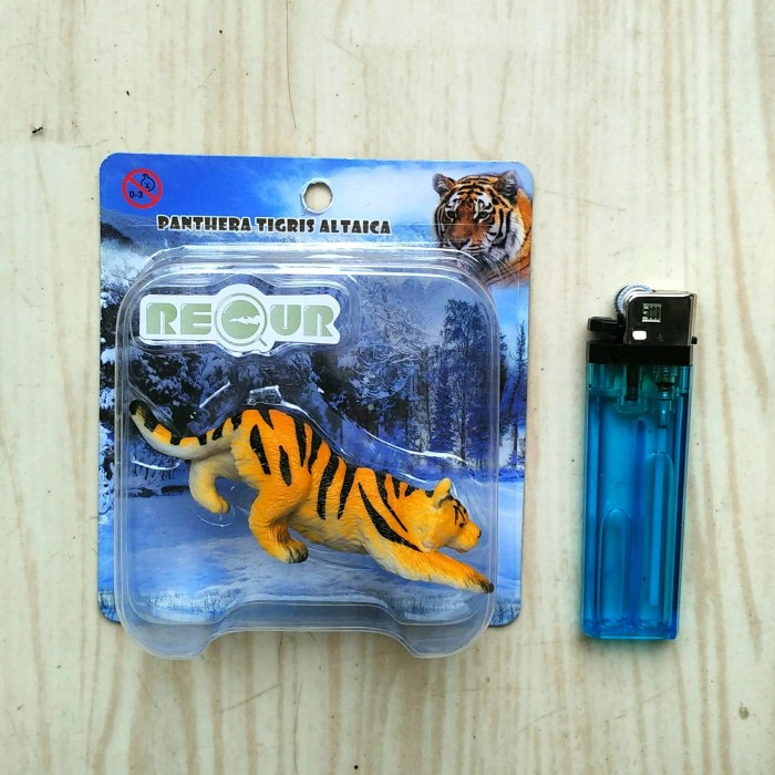 Recur Miniatur Panthera Tigris Altaica