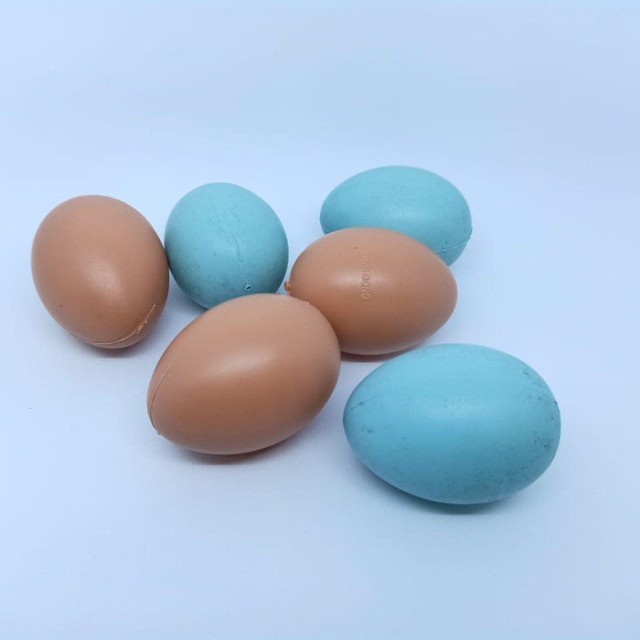 Mainan Telor - Teloran