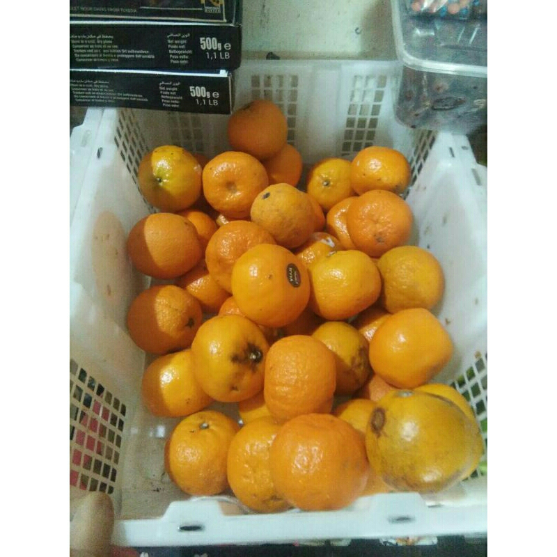 

JERUK MANDARIN YUJI