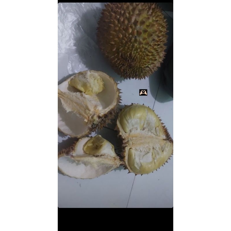 

durian