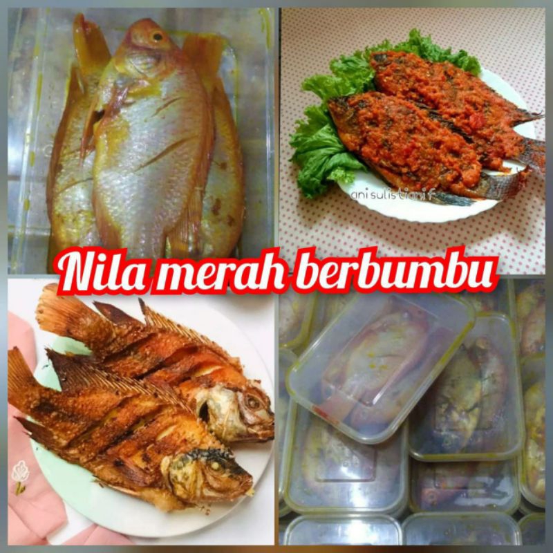 

Pengiriman instan saja Nila merah marinasi beku siap masak