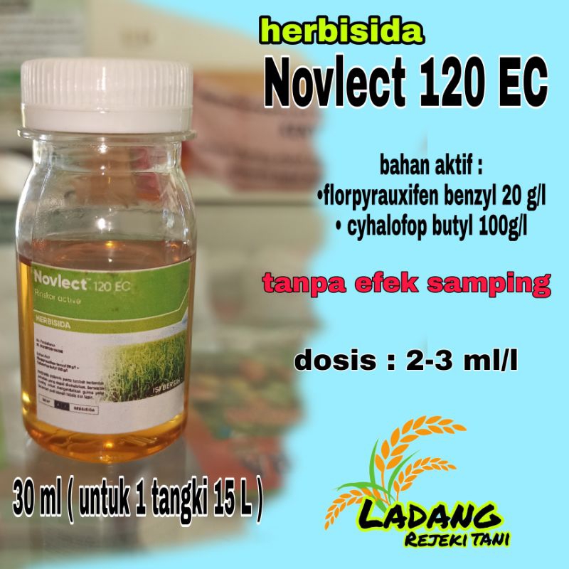 (premium) Herbisida novlect 120 ec / herbisida padi novlect / novlect repack / novlect padi / obat r