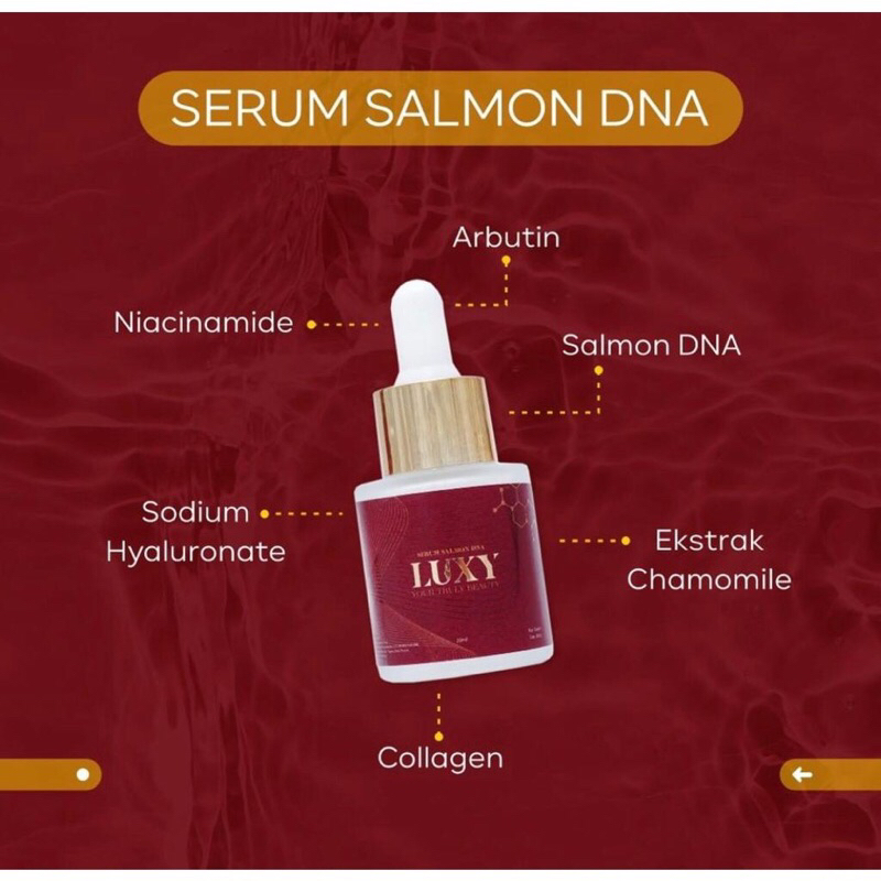 LUXY Serum Salmon DNA anti penuaan &amp; mencerahkan Wajah