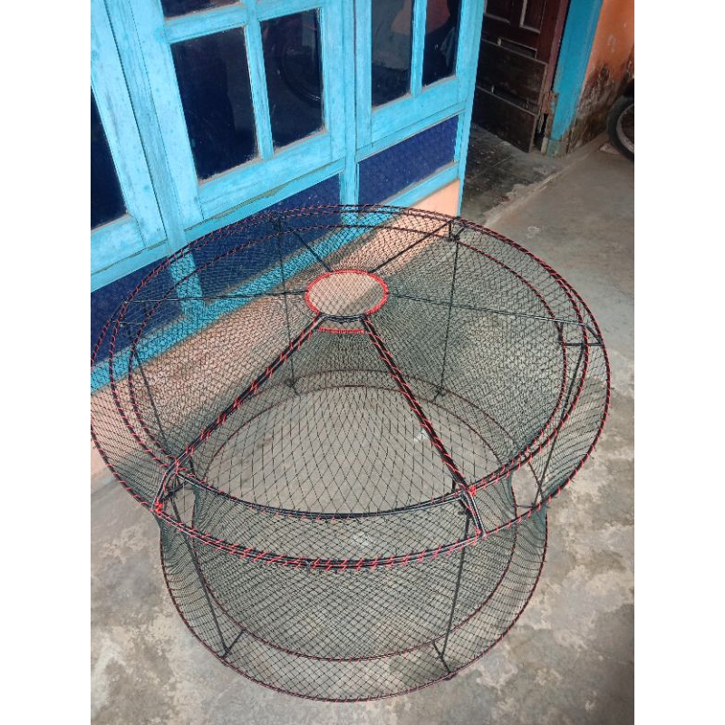 Kurungan ayam,kurungan kiter ayam,kiter ayam