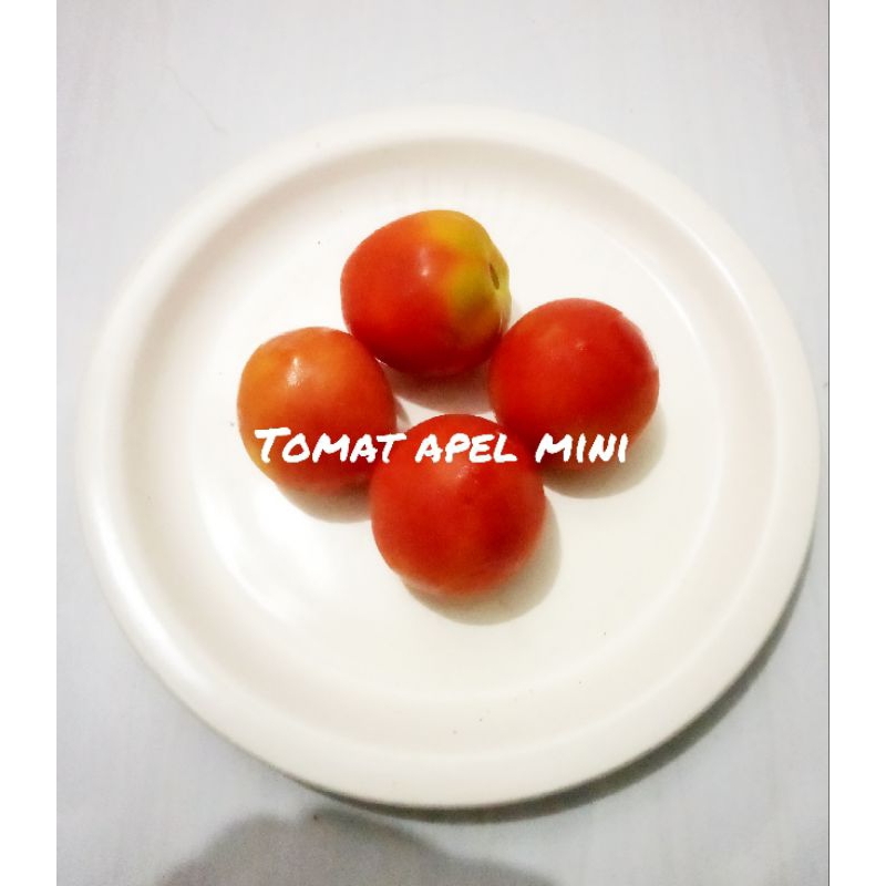 

tomat apel ukuran sedang (hemat)