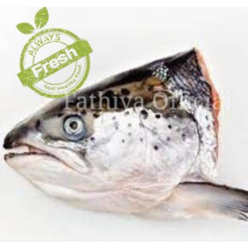 

1Kg Kepala Ikan Salmon Norwegia (Banyak Daging)