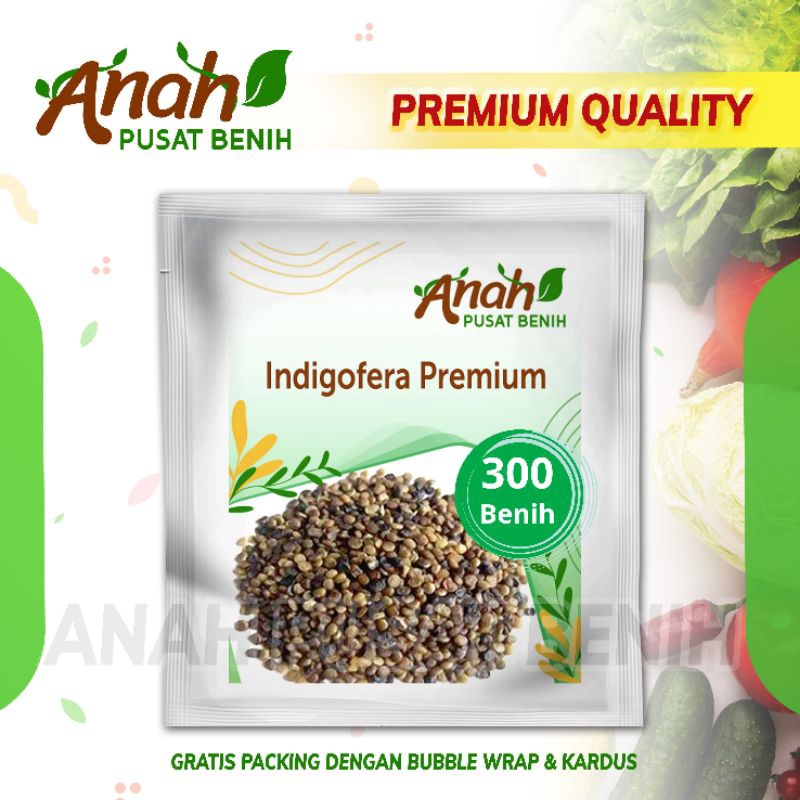 Benih indigofera PREMIUM pakan ternak High Quality / Bibit indigofera pakan ternak