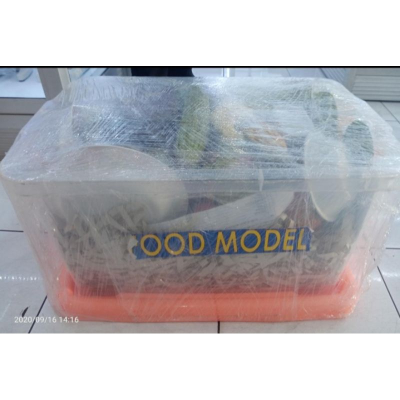 

Model Food Gizi/ Kit Food Model Gizi / Alat Peraga Pendidikan