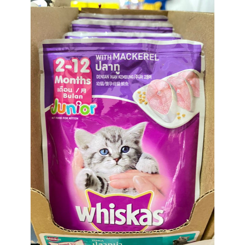 WHISKAS BASAH UNTUK ANAK KUCING/makanan basah untuk kucing/whiskas junior