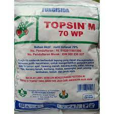 TOPSIN BUBUK