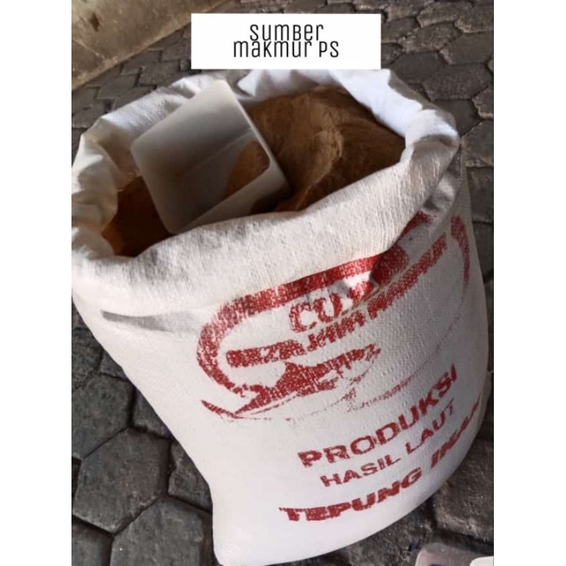 tepung ikan berprotein tinggi