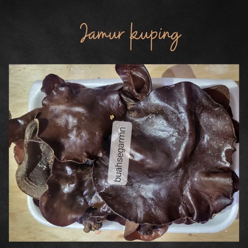 

Jamur kuping - 250gr