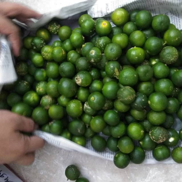 

CFS 500gr JERUK SONKIT JERUK KUNCI JERUK KASTURI KALAMANSI SONBOI LEMON CU