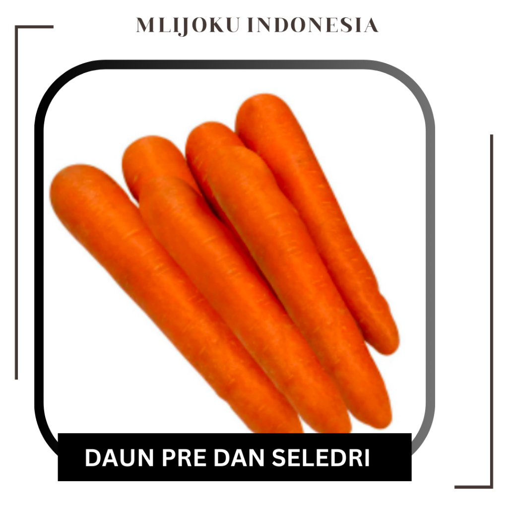 

Wortel Brastagi - Wortel Manis 1000gr