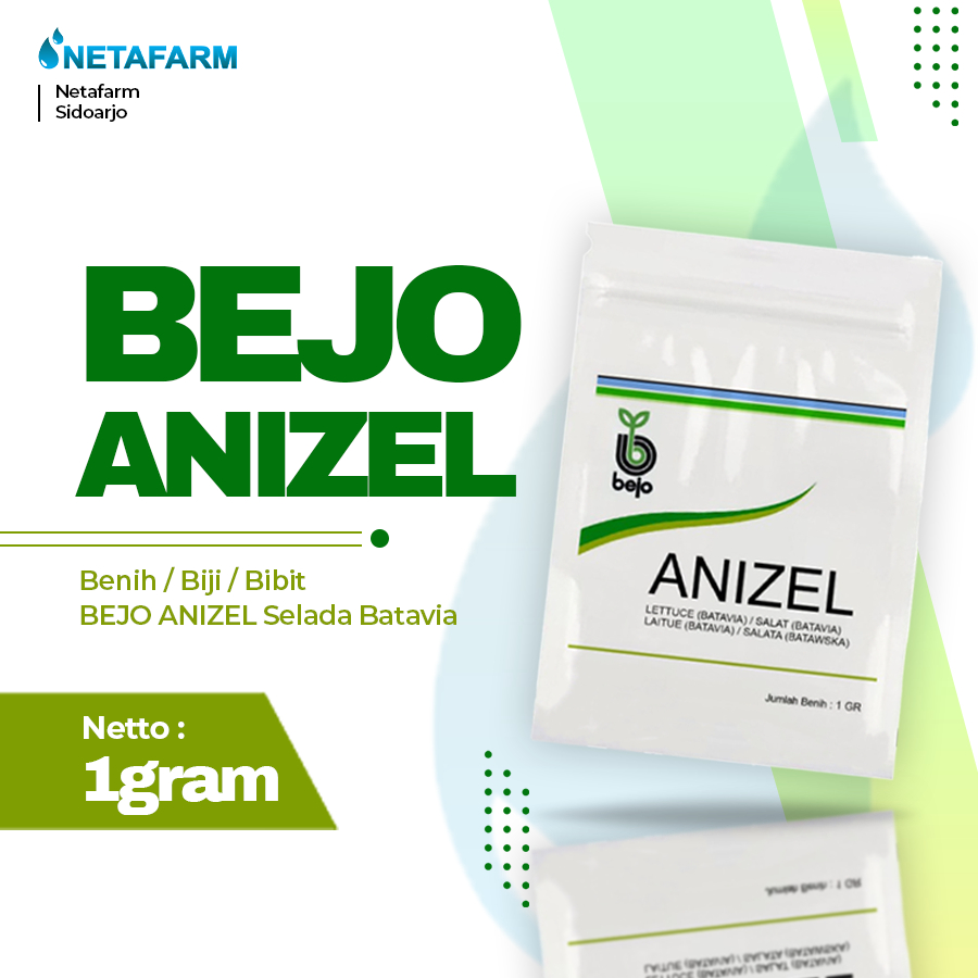 Benih / Biji / Bibit BEJO ANIZEL Selada Batavia - Kemasan 1 Gram