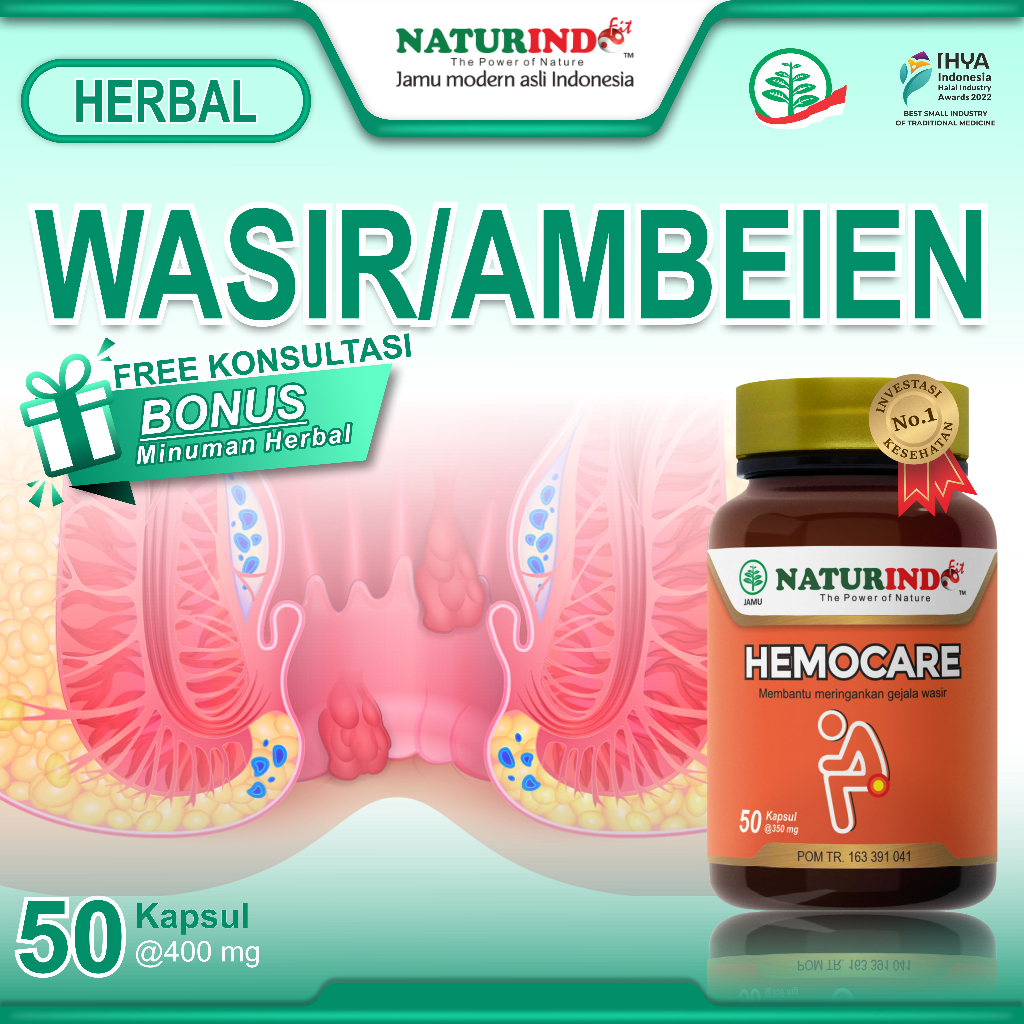 Obat Wasir Ambeien Ambeyen Daun Ungu Paling Ampuh Luar Dalam Herbal Stadium 1 2 3 4 Benjolan Di Anus