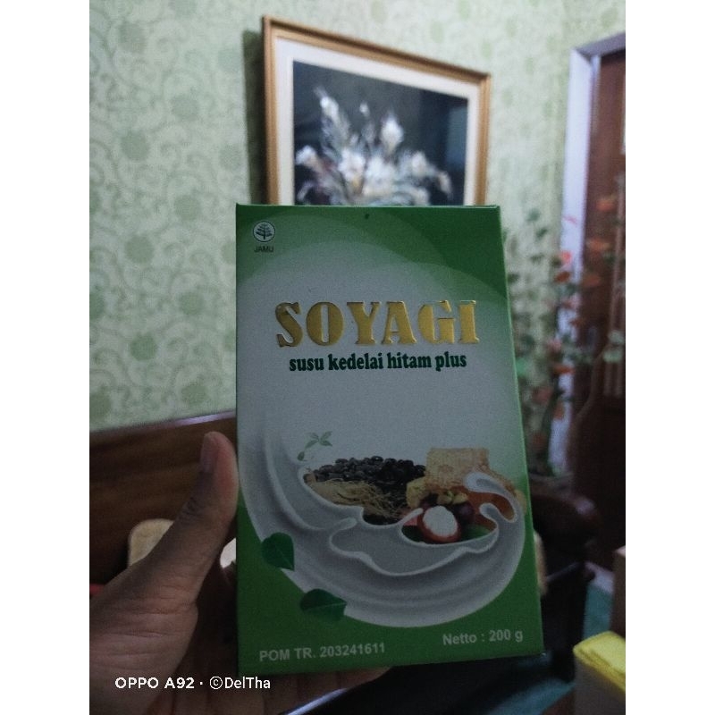 

Susu Kedelai Hitam SOYAGI