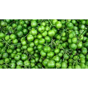 

LALAPAN KHAS SUNDA LEUNCA SEGAR 1KG