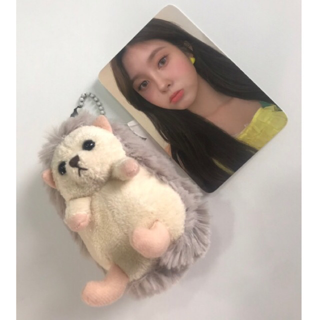 FREE PHOTOCARD/POB KTOWN DAYEON KEP1ER