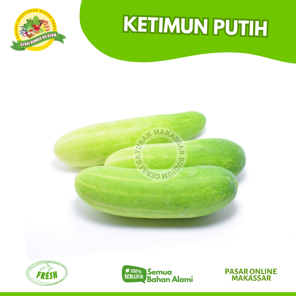 

Sayur Ketimun Putih Fresh Per Biji Segar Murah Sayuran Online Makassar