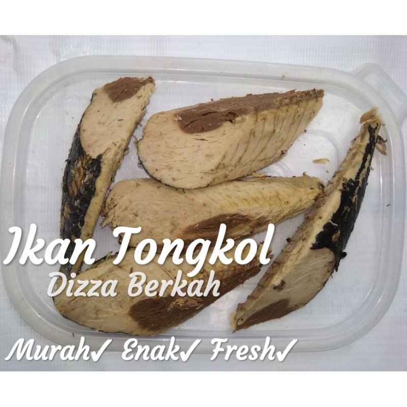 

Ikan Tongkol/Tongkol Mateng/5 pc/Enak/Murah/Bagus/Dizza Berkah