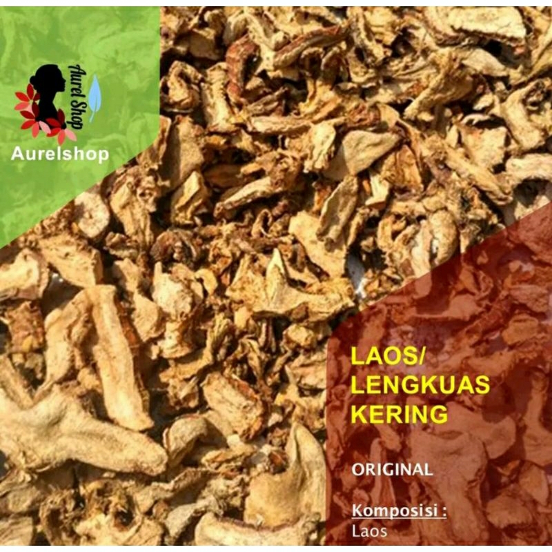 

Laos Kering/ Lengkuas/ Alpinia galanga