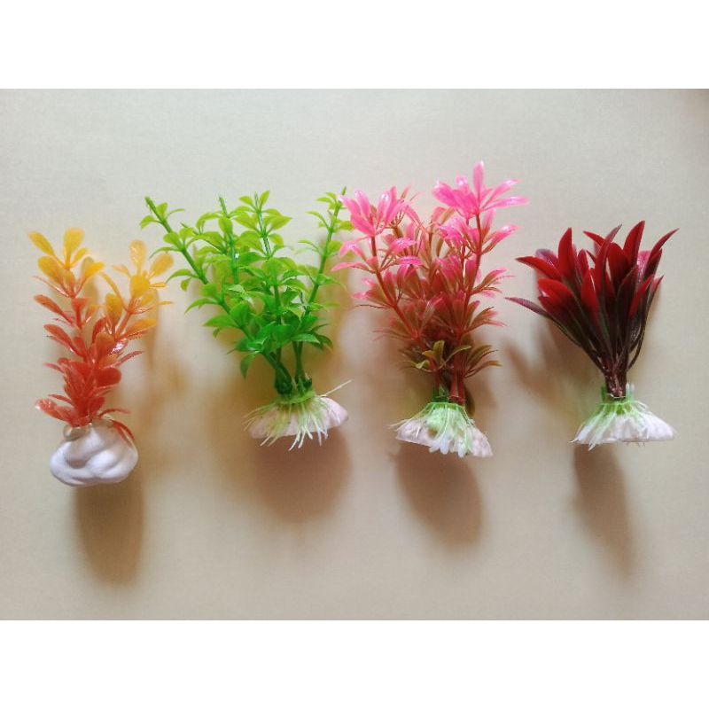 Tanaman Hias Aquarium/Rumput hias Aquarium/Tanaman Hias Aquarium
