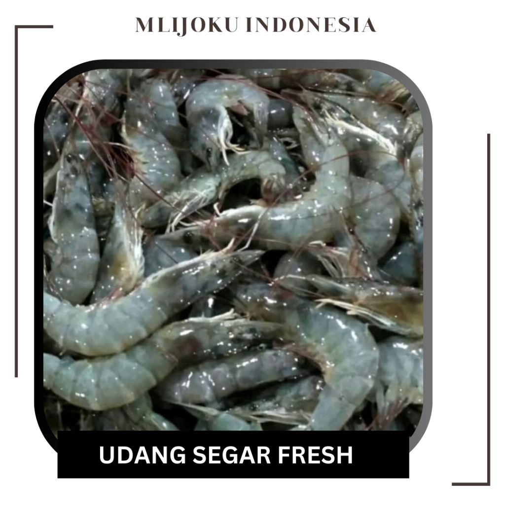

Udang Sedang Fresh 250gr