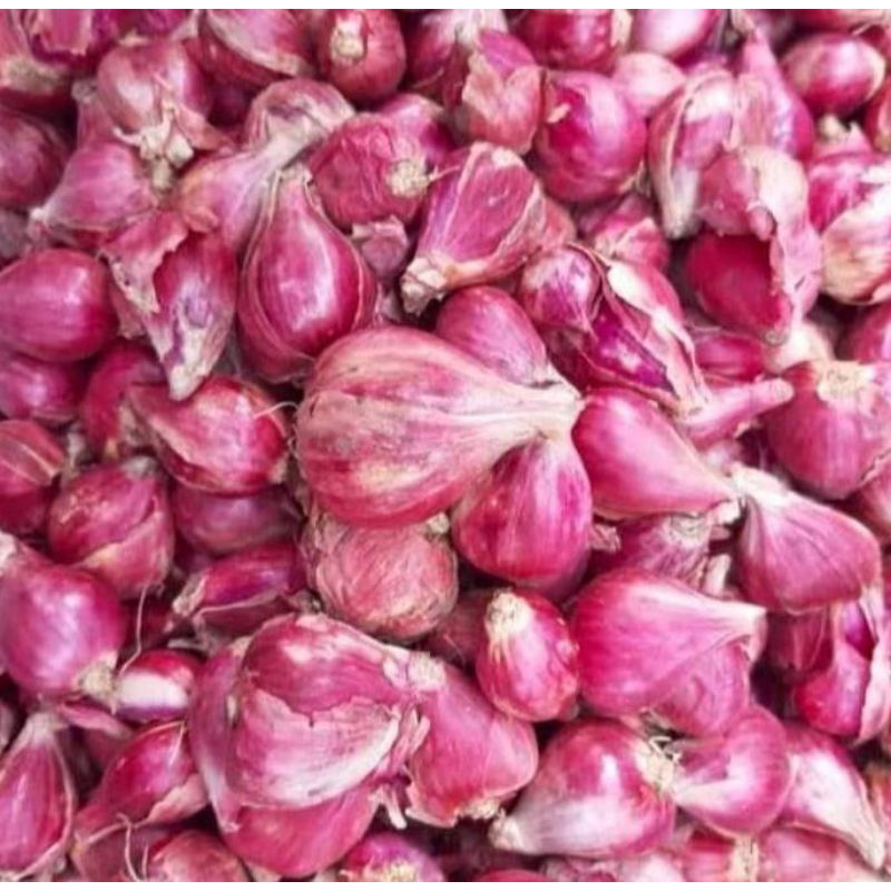 

bawang merah super 1kg