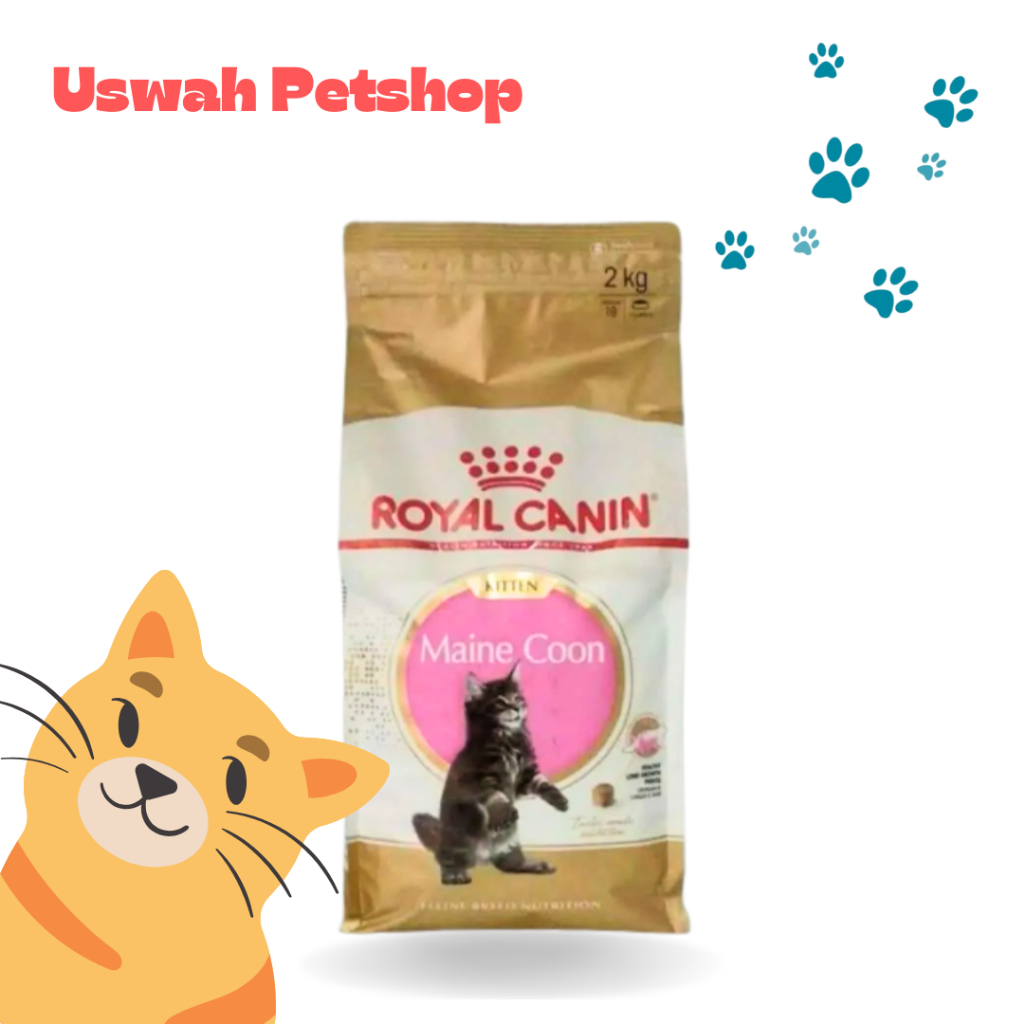 Royal Canin Mainecoon Kitten 2kg Catfood