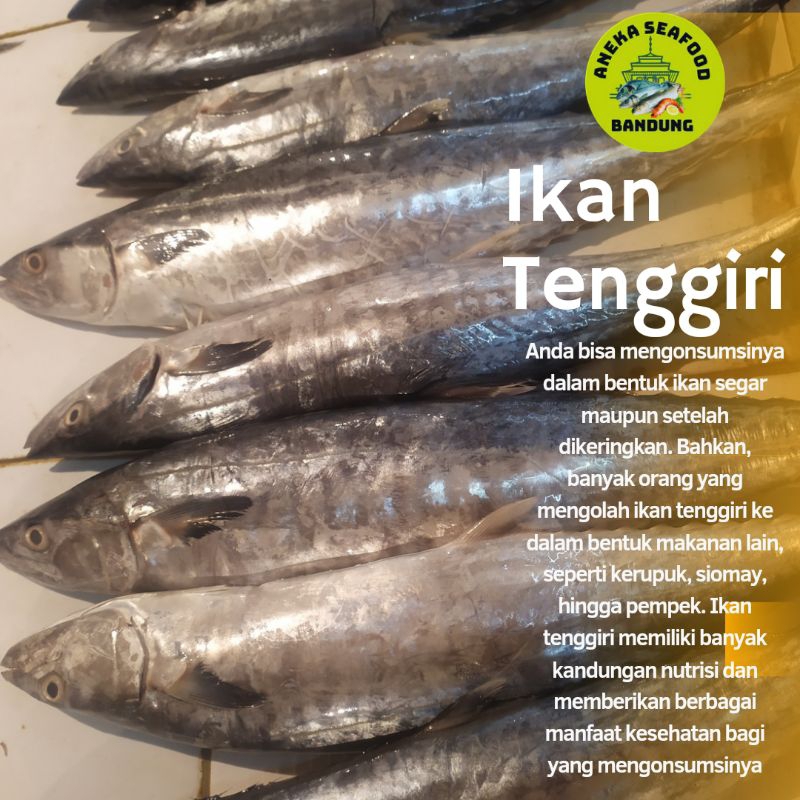 

Ikan Tenggiri Segar 1kg