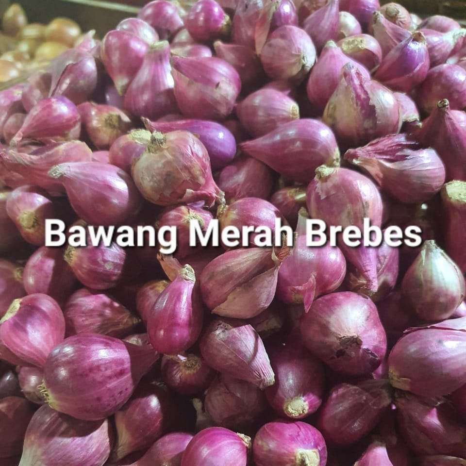 

Bawang Merah Brebes Bumbu Masak 250gr 500gr 1kg