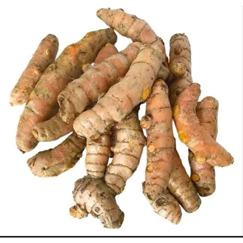 

1 kg kunyit segar kualitas super