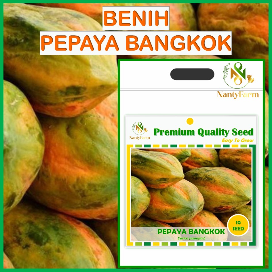 Benih Biji Buah Pepaya Bangkok 10 Biji