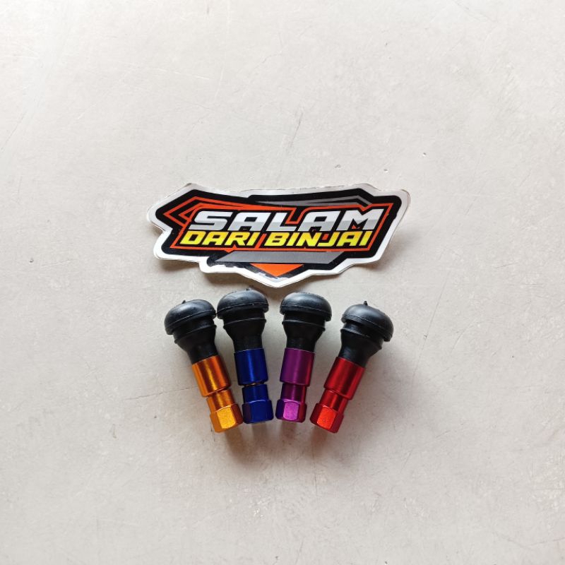 PENTIL TUBLES CNC KARET WARNA TR413 SEPEDA MOTOR MOBIL