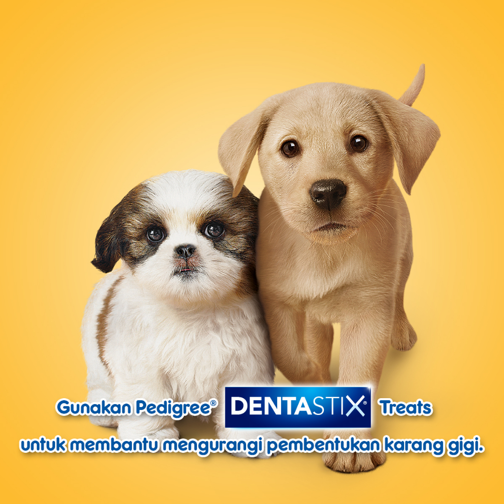 Pedigree Dentastix Snack Anjing Puppy 56 gr - Isi 2 Image 5