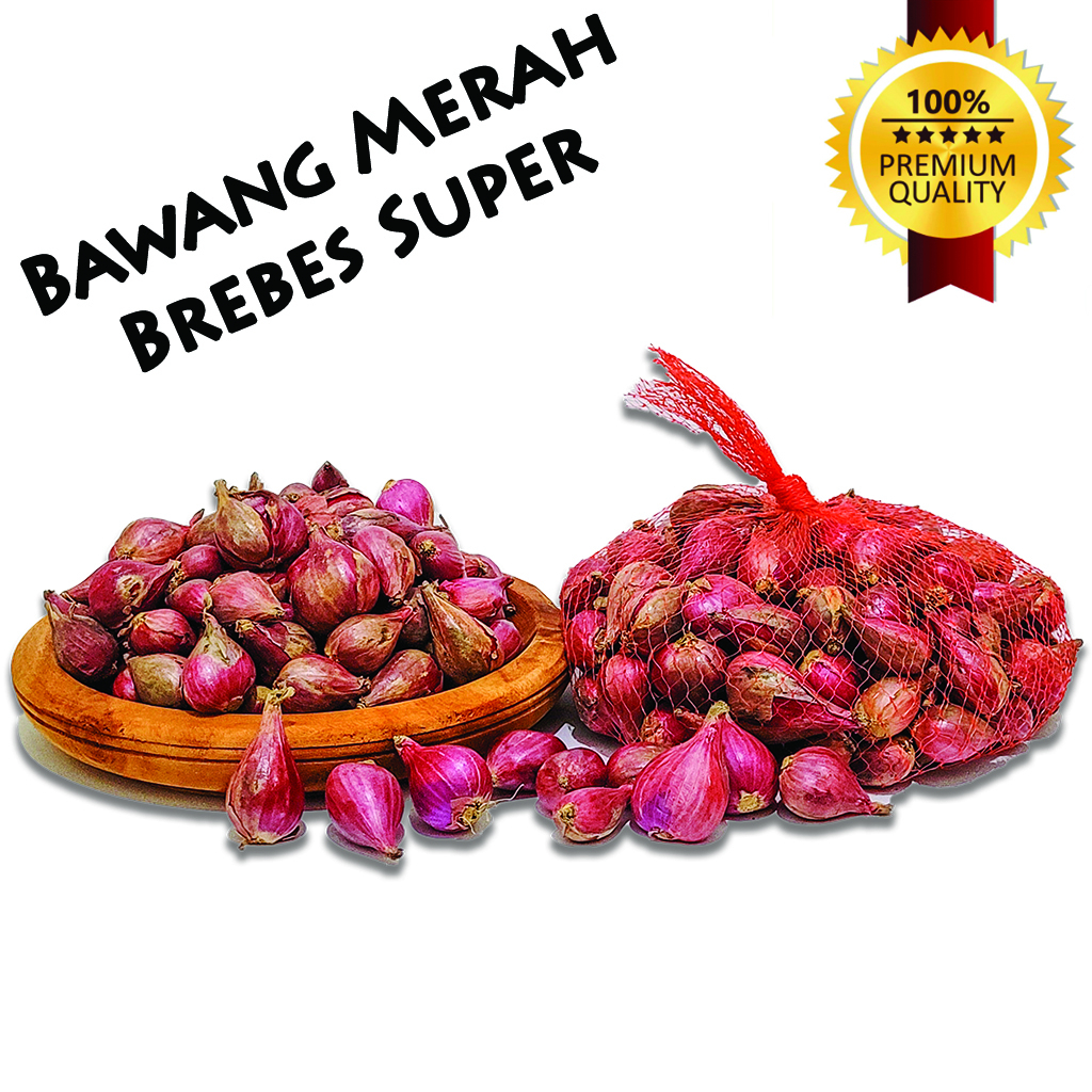 

Bawang Merah Brebes Ukuran Super Pilihan 500gr