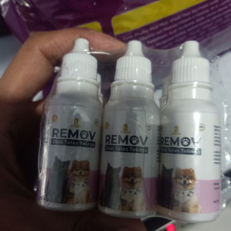 tetes telinga kucing