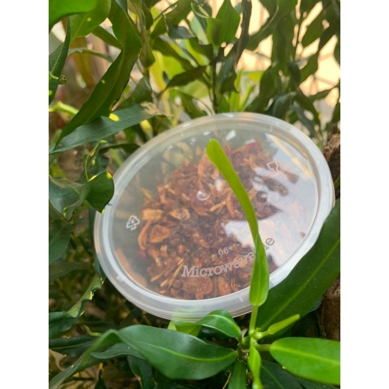 

sambal goreng uyah(garam)