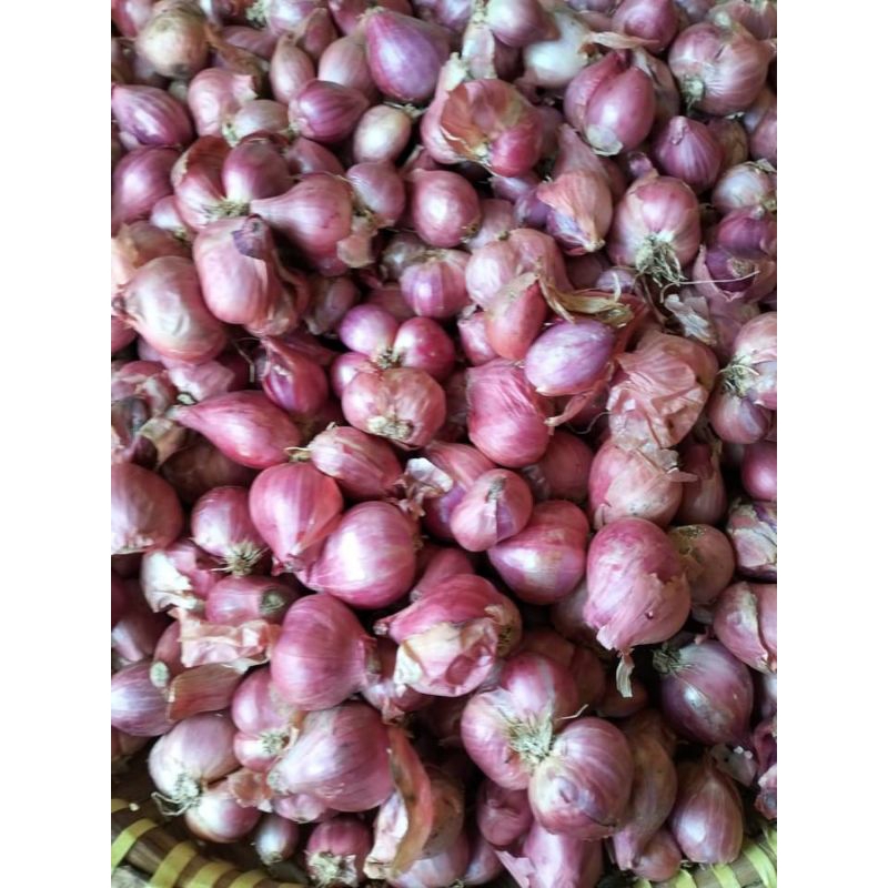 

brambang brebes 500 g