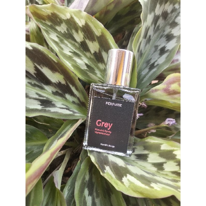 parfum viral pemikat pasangan original jayrose gray and jayrosse Rouge wanita,pria
